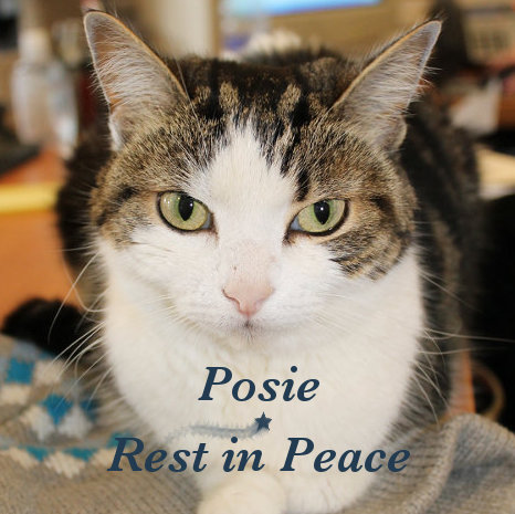 Rest in Peace - Image of Posie. 