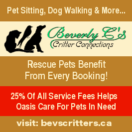 Notice: Beverly Cs pet sitting, dog walking supports Oasis Animal Rescue