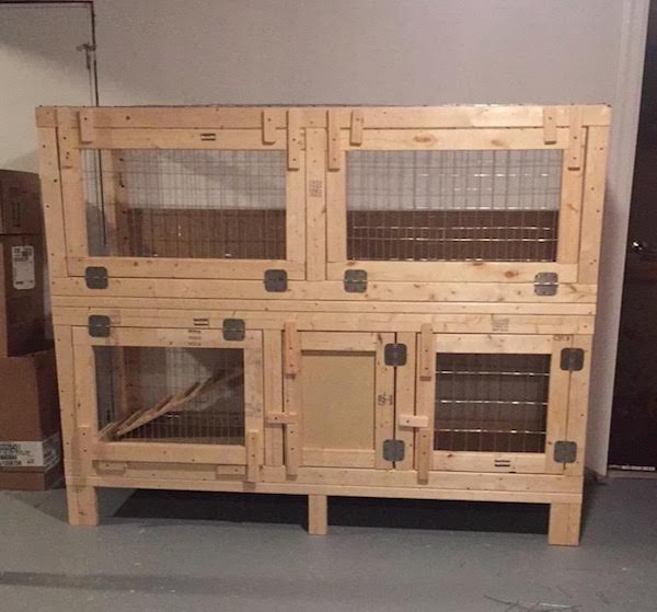 Rabbit Cage for adopted rabbits