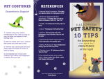 Halloween Pet Safety Guide 1